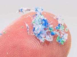 mikroplastik-ancam-ibu-hamil-dosen-fk-ipb-university-ungkap-tiga-jalur-masuk-ke-tubuh