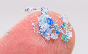 mikroplastik-ancam-ibu-hamil-dosen-fk-ipb-university-ungkap-tiga-jalur-masuk-ke-tubuh