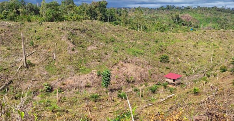 pakar-ipb-university-degradasi-habitat-di-bengkulu-dorong-gajah-sumatra-ke-ambang-kepunahan