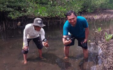 pkspl-ipb-university-dan-pokmas-temburun-kolaborasi-restocking-kepiting-bakau-di-pantai-senggalong-anambas