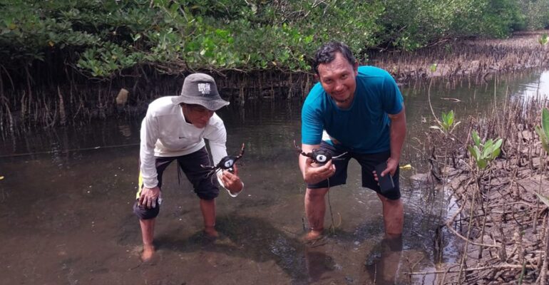 pkspl-ipb-university-dan-pokmas-temburun-kolaborasi-restocking-kepiting-bakau-di-pantai-senggalong-anambas