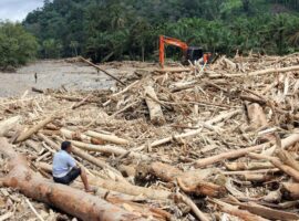 ahli-kehutanan-ipb-university-perkuat-indikasi-pembalakan-liar-di-balik-temuan-kayu-gelondongan-pascabencana-di-sumatra