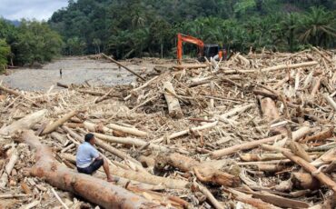 ahli-kehutanan-ipb-university-perkuat-indikasi-pembalakan-liar-di-balik-temuan-kayu-gelondongan-pascabencana-di-sumatra
