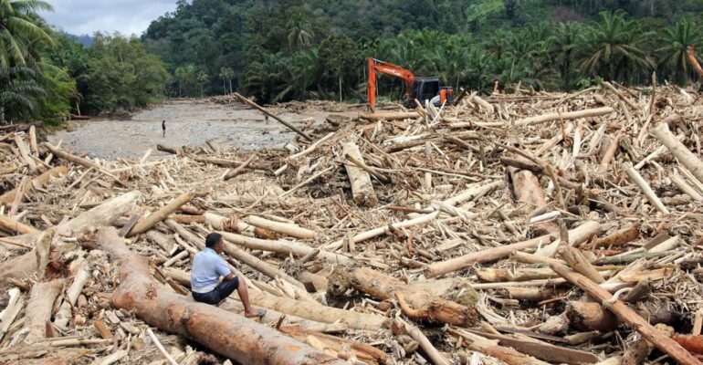 ahli-kehutanan-ipb-university-perkuat-indikasi-pembalakan-liar-di-balik-temuan-kayu-gelondongan-pascabencana-di-sumatra