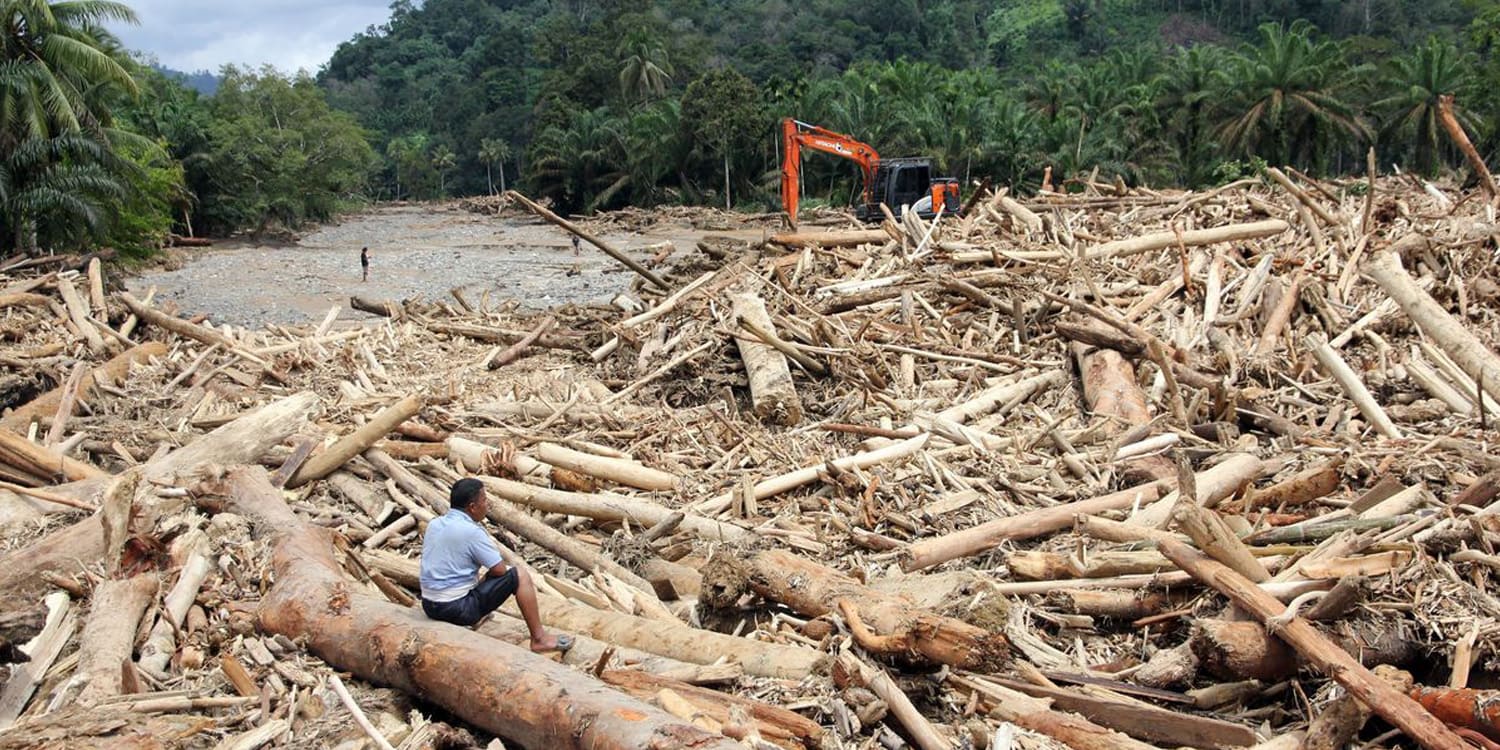 Kayu Hanyutan Pascabanjir Sumatra Dimanfaatkan, Pemulihan Infrastruktur Dipercepat Kayu Hanyutan Pascabanjir Sumatra Dimanfaatkan, Pemulihan Infrastruktur Dipercepat