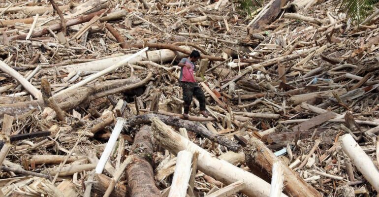 asal-usul-kayu-gelondongan-di-lokasi-longsor-sumatera-utara-ini-penjelasan-pakar-ipb-university