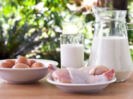 ayo-jaga-kesehatan-otak-dengan-mengonsumsi-produk-peternakan