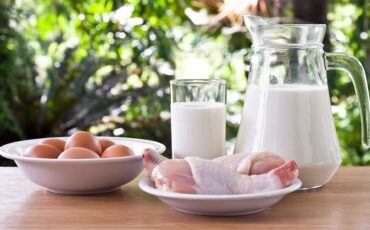 ayo-jaga-kesehatan-otak-dengan-mengonsumsi-produk-peternakan