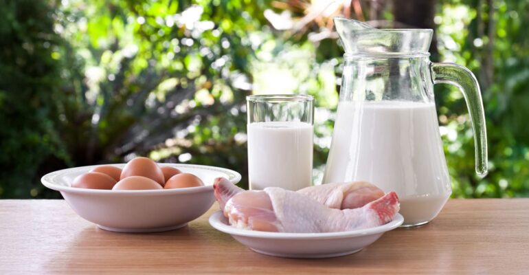 ayo-jaga-kesehatan-otak-dengan-mengonsumsi-produk-peternakan