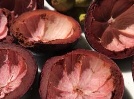 benarkah-kulit-manggis-punya-banyak-khasiat-ini-jawaban-peneliti-ipb-university