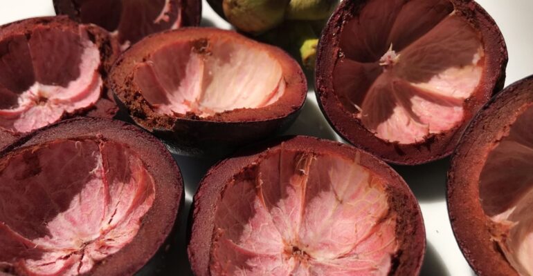 benarkah-kulit-manggis-punya-banyak-khasiat-ini-jawaban-peneliti-ipb-university