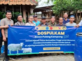 dukung-komunitas-j-ka-tarub-kembangkan-domba-sakub-khas-brebes