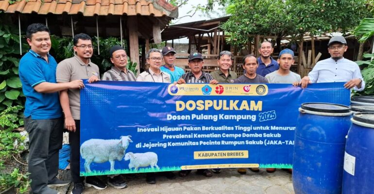 dukung-komunitas-j-ka-tarub-kembangkan-domba-sakub-khas-brebes