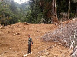 kepala-pusat-studi-bencana-ipb-university-ungkap-aktivitas-ilegal-di-balik-bencana-sumatra