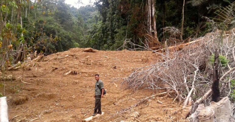 kepala-pusat-studi-bencana-ipb-university-ungkap-aktivitas-ilegal-di-balik-bencana-sumatra