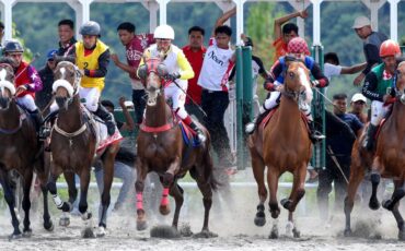 pakar-horsemanship-ipb-university-dorong-perlindungan-joki-anak-dan-kesejahteraan-kuda-pacu-tradisional
