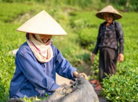 petani-perempuan-capai-4-2-juta-orang-prof-anna-fatchiya-penyuluhan-pertanian-mesti-responsif-gender