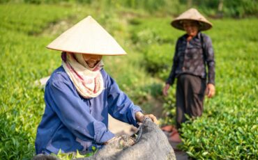 petani-perempuan-capai-4-2-juta-orang-prof-anna-fatchiya-penyuluhan-pertanian-mesti-responsif-gender