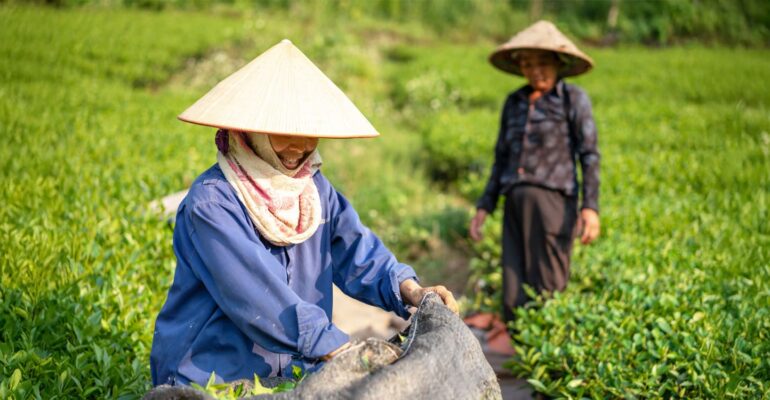 petani-perempuan-capai-4-2-juta-orang-prof-anna-fatchiya-penyuluhan-pertanian-mesti-responsif-gender
