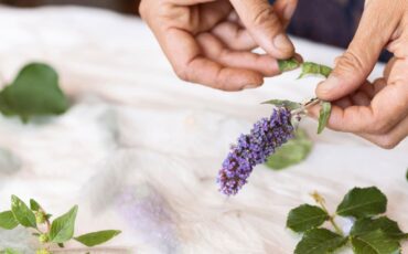 prof-min-rahminiwati-sebut-potensi-herbal-indonesia-jadi-kandidat-unggulan-fitomedisin-nasional