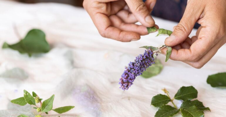 prof-min-rahminiwati-sebut-potensi-herbal-indonesia-jadi-kandidat-unggulan-fitomedisin-nasional