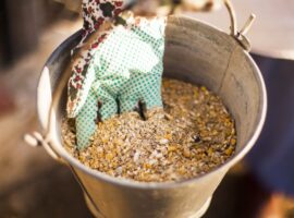 prof-muhammad-ridla-sebut-terjadi-kehilangan-pakan-sebesar-20-persen-menyebabkan-kerugian-29-triliun-rupiah