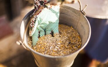 prof-muhammad-ridla-sebut-terjadi-kehilangan-pakan-sebesar-20-persen-menyebabkan-kerugian-29-triliun-rupiah