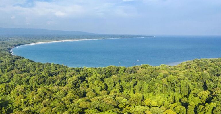 raih-hibah-dari-apn-gcr-peneliti-ipb-kaji-dampak-spesies-invasif-di-taman-nasional-baluran-dan-ujung-kulon