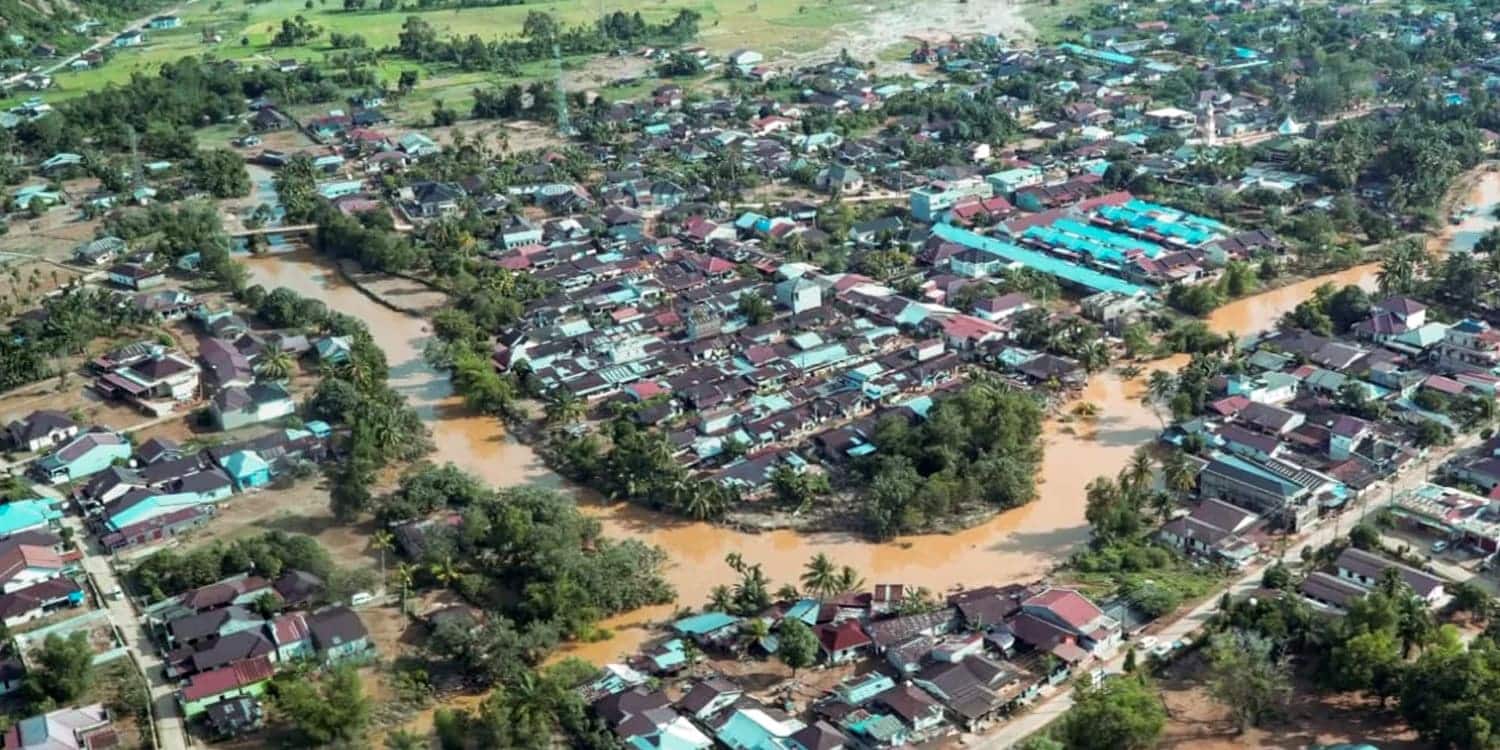 Name Three Causes of Disasters, IPB University Expert: Human-Caused Damage Should Be Most Controllable