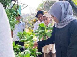 urban-farming-ekologis-ipb-university-terbukti-turunkan-suhu-kota-dan-perkuat-pangan-perkotaan