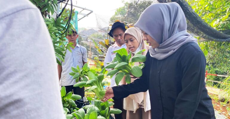 urban-farming-ekologis-ipb-university-terbukti-turunkan-suhu-kota-dan-perkuat-pangan-perkotaan