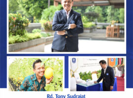 WhatsApp Image 2026-02-12 at 10.51.32