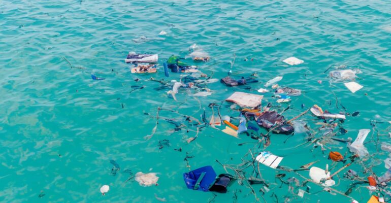 pakar-ekotoksikologi-ipb-university-mikroplastik-kurangi-efektivitas-laut-dalam-menyerap-karbon