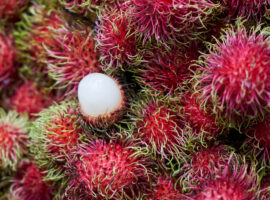 rambutan-absen-di-akhir-tahun-pakar-buah-tropika-ipb-university-ungkap-alasannya