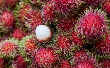 rambutan-absen-di-akhir-tahun-pakar-buah-tropika-ipb-university-ungkap-alasannya