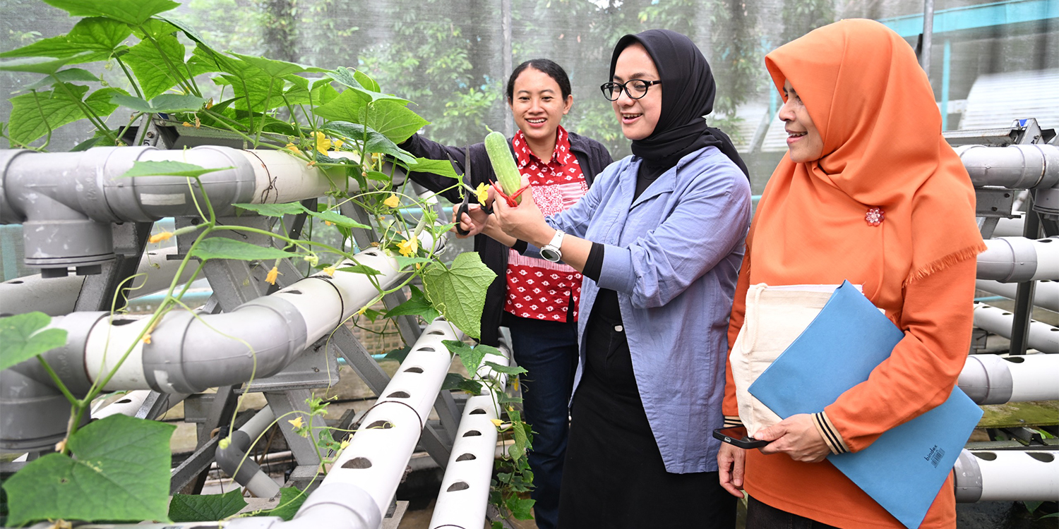 Garden Challenge Agrianita