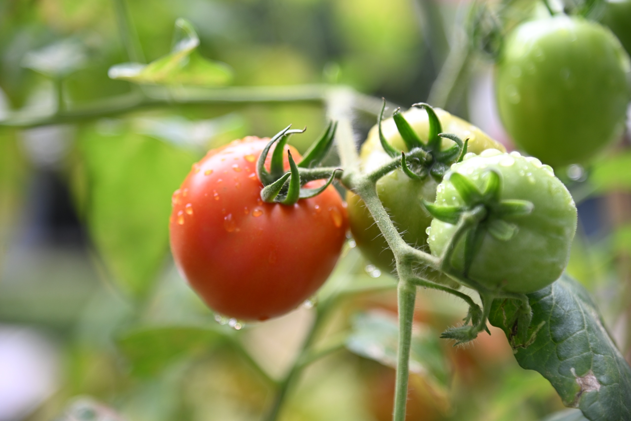 WhatsApp Image 2026-02-05 at 14.15.18 (4)