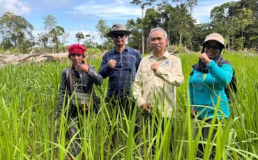 menyebar-teknologi-padi-gogo-hingga-ujung-negeri.jpg