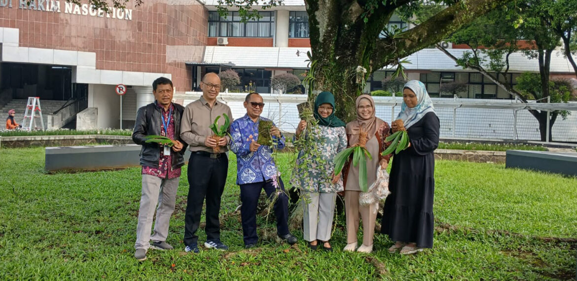 cover berita foto