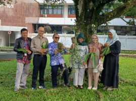 cover berita foto