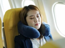dosen-fkgiz-ipb-university-bagikan-tips-jaga-kondisi-tubuh-selama-perjalanan-udara.jpg