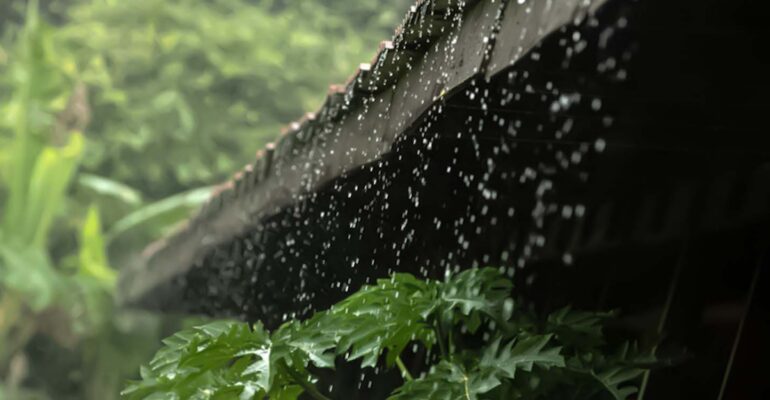 el-nino-godzilla-diprediksi-terjadi-mengapa-masih-hujan-ini-penjelasan-dosen-ipb-university.jpg