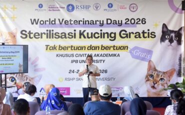ipb-university-gelar-sterilisasi-kucing-gratis-kendalikan-populasi-dan-edukasi-masyarakat.jpg