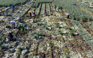 ipb-university-tawarkan-teknologi-biointensif-hadapi-dampak-krisis-timur-tengah