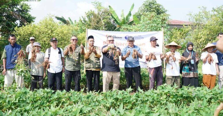 kolaborasi-ipb-university-dan-laz-rabani-berbuah-panen-perdana-ubi-ungu-di-gunung-mulya.jpg