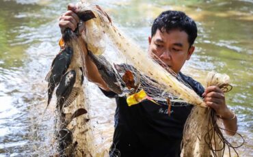 marak-berantas-ikan-sapu-sapu-di-jakarta-pakar-ipb-university-sarankan-tiga-strategi-efektif.jpg