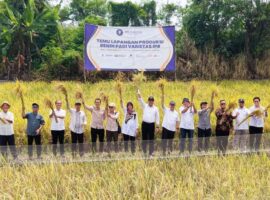 merespons-apresiasi-mentan-ipb-university-perkuat-kontribusi-benih-nasional-lewat-varietas-unggul-padi-tipe-baru.jpg