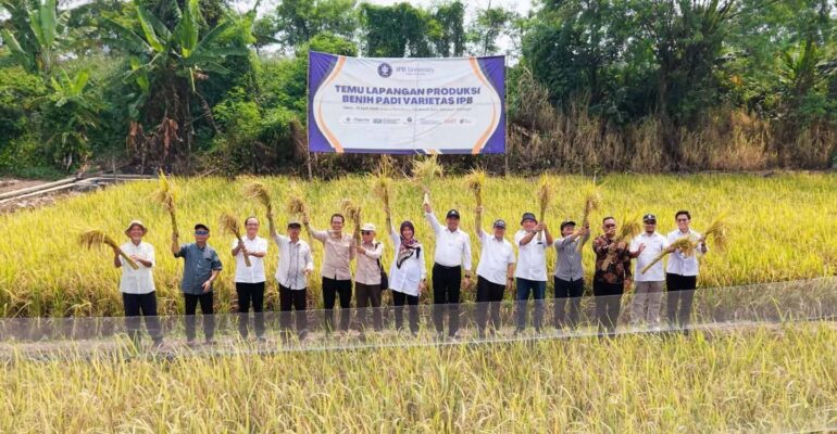 merespons-apresiasi-mentan-ipb-university-perkuat-kontribusi-benih-nasional-lewat-varietas-unggul-padi-tipe-baru.jpg