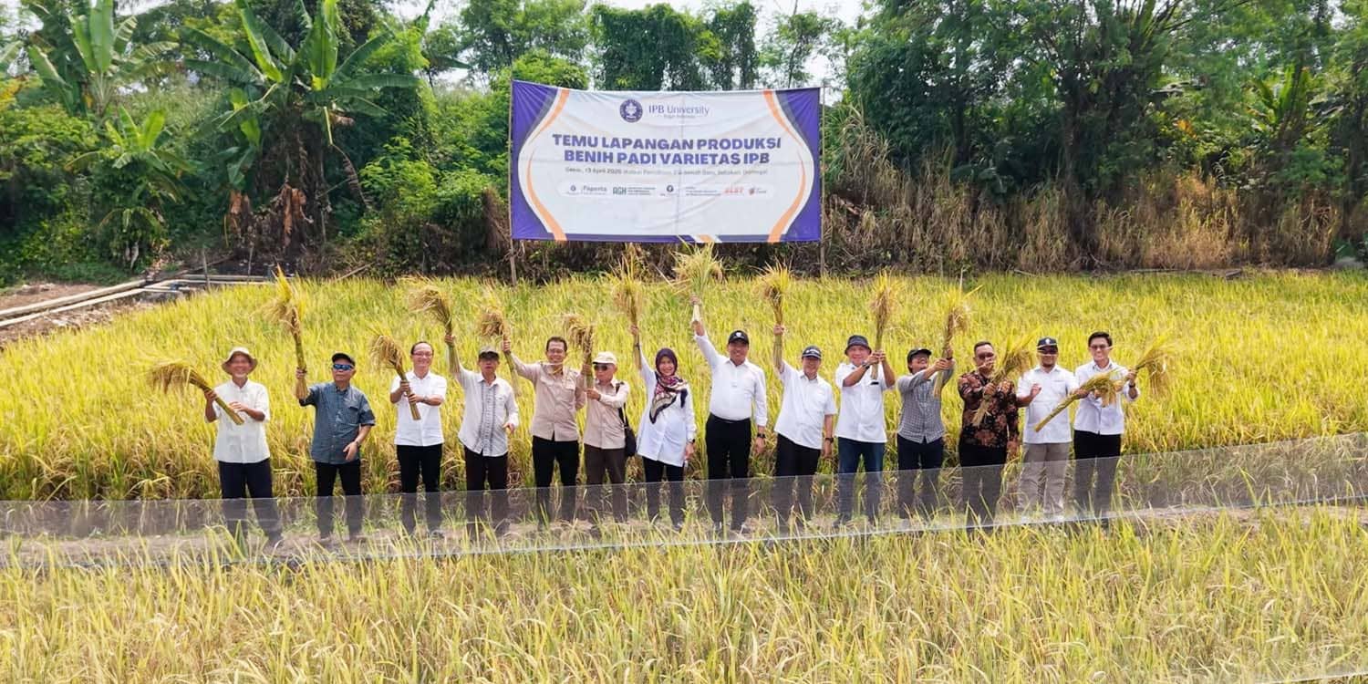 Merespons Apresiasi Mentan, IPB University Perkuat Kontribusi Benih Nasional Lewat Varietas Unggul Padi Tipe Baru