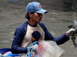 pakar-ipb-university-dominasi-ikan-sapu-sapu-di-ciliwung-gejala-sungai-sakit-akibat-pencemaran.jpg